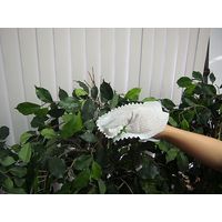 富士パックス販売 どこでもミトン+ 24枚入り FP-365 1個