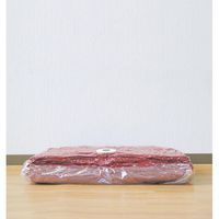 オリエント バルブ式座ぶとん圧縮袋マチ付 3262 1個