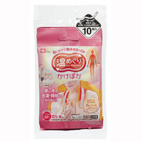 かけぽか 1パック（10個入）カイロ レック