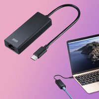 サンワサプライ USB3.2 Type-C-LAN変換アダプタ(2.5Gbps対応) USB-CVLAN6BK 1個