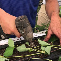 ビット交換式根こそぎソケット　ＫＮＳー０２ 03849 1台 土牛産業（直送品）