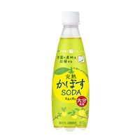 伊藤園 ニッポンエール 完熟かぼすSODA 大分県産 410ml 1箱（24本入）