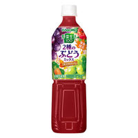 カゴメ 野菜生活100 2種のぶどうミックス 720ml 1箱（15本入）