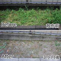 パネフリ工業 お墓の除草剤 クサカレール 400g 4571102566085 1セット(6個)（直送品）