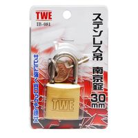 アイアイ TWE ステンレス吊南京錠 30mm IB-081 1セット(4個)（直送品）