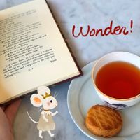 カレルチャペック ワンダーアップル ティーバッグ 1箱（20バッグ入）