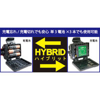グランツ LEDハイブリットヘッドライト RVH-01R 1台（直送品）