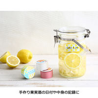 ニチバン ディアキチ ワザアリテープ ホルダー付  幅25mm×6m ブルー DK-WAN2516H