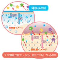 アトピタ 保湿全身ミルキィローション 120ml 1個 丹平製薬