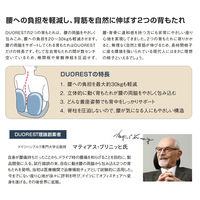 DUOREST オフィスチェア DUOREST FIT 着脱式足置き付き ブルー DR-286BY(BL) 1台（直送品）