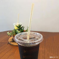 江戸川物産 サトウキビストロー φ6×210mm 紙袋入 00669653 1セット(1袋(100本)×70)（直送品）