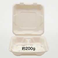 パックスタイル バガス容器 新BBランチ 200-200-3　200枚(50枚×4) 00675729 1セット(200枚(50枚×4)入)