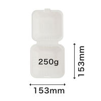 パックスタイル 弁当容器 新ABランチ150-150 500枚(50枚×10) 00697878 1セット(500枚(50枚×10)入)（直送品）