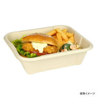 パックスタイル 弁当容器 BBボックス22-18(H64)　500枚(50枚×10) 00705418（直送品）