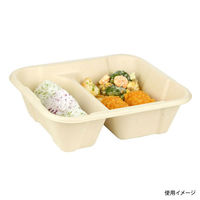 パックスタイル 弁当容器 BBボックス22-18-2(H64)　500枚(50枚×10) 00705419（直送品）