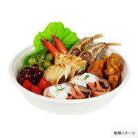 パックスタイル オードブル容器 ABバーレル285-H60 200枚(50枚×4) 00705423 1セット(200枚(50枚×4)入)（直送品）