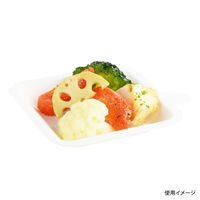 パックスタイル 紙皿 ABプレート110×110 800枚(50枚×16) 00705414 1セット(800枚(50枚×16)入)（直送品）