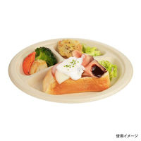 パックスタイル 紙皿 BB丸プレート230-3　500枚(50枚×10) 00705433 1セット(500枚(50枚×10)入)（直送品）