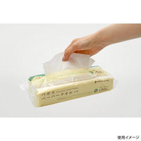 パックスタイル ハンドタオル PSバガスペーパータオル 小判 48点 710657 1セット(48点入)（直送品）