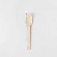 アサヒグリーン カトラリー　木製フォーク160 紙完封(茶色)　3000枚(100枚×30) 10412000（直送品）