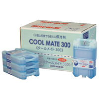 ニチネン 保冷剤ハードタイプ クールメイト300 152100 1セット(1枚×36)