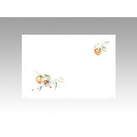 テーブルマット 上質-102 柿　100点 381218 1セット(100点入) カミイソ産商（直送品）