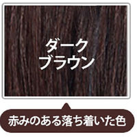 LPLP（ルプルプ） ヘアカラートリートメント ダークブラウン 200g 1個 スタージュ
