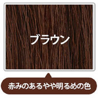 LPLP（ルプルプ） ヘアカラートリートメント ブラウン 200g 1個 スタージュ
