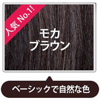LPLP（ルプルプ） ヘアカラートリートメント モカブラウン 200g 1個 スタージュ