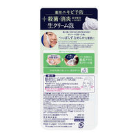 花王 ビオレ ザフェイス アクネケア グリーンサボンの香り 200mL 泡洗顔 生クリーム泡 ポンプ