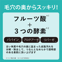 クレンジングリサーチ パウダーウォッシュ 0.4g×30包 黒ずみ 毛穴汚れ パウダー洗顔 BCLカンパニー