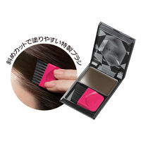 プリオール ヘア ファンデーション ダークブラウン（深みのある茶色） 3.6g 資生堂