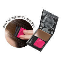 プリオール ヘア ファンデーション ブラウン（自然な茶色） 3.6g 資生堂