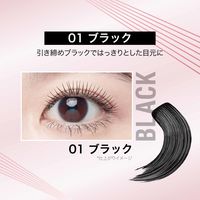 MAYBELLINE メイベリン スカイハイ マスカラ ウォータープルーフ 01 ブラック 2本　日本ロレアル