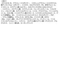 メイベリン ラッシュニスタ N 01 [ファンデサシェ+プライマー付]