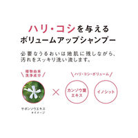 ORBIS（オルビス） スカルプ リファイニング シャンプー つめかえ用 250mL （医薬部外品）