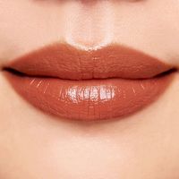 ORBIS（オルビス） ピュアセラムルージュ ベイクドショコラ