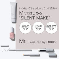 ORBIS（オルビス） ミスター ビアード＆アイブロー ペンシル ブレイブグレー（男性用アイブロウ）