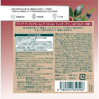 入浴剤 クナイプ バスソルト グーテエアホールング ウィンターグリーン＆ワコルダーの香り ボトル 850g 1個 医薬部外品 クナイプジャパン