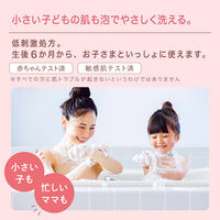 hadakara（ハダカラ）ボディソープ 泡で出てくる薬用ピュアマイルドタイプ 詰め替え 440ml ライオン【泡タイプ】