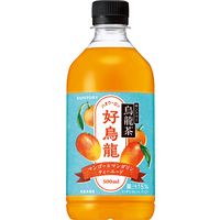 サントリー 烏龍茶 好烏龍（ハオウーロン）マンゴー＆マンダリンティーエード 500ml 1セット（48本）