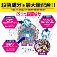 歯磨き粉 殺菌トータルケア ゼローラマイルド マイルドミント 90g 小林製薬