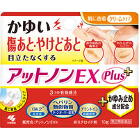 アットノンEXかゆみ止めプラス 10g 小林製薬【第2類医薬品】