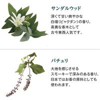 入浴剤 クナイプ バスソルト サンダルウッドの香り 分包 50g 1包 クナイプジャパン