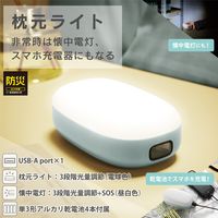 エレコム 乾電池式懐中電灯/枕元ライト/防災/スマホ充電/USB-A×1/単3電池4本付属/ブルー DE-KD04BU 1個
