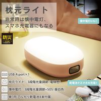 ベッドサイドランプ 枕元 ライト 間接照明 懐中電灯 3段階光量調節 電池式 ピンク DE-KD04PN エレコム 1個