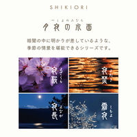 セーラー万年筆 四季織 月夜の水面 夜長 万年筆 F(細字) 100658203 1本