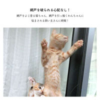 明和グラビア デザイン網戸 SDB-01 モンステラ 1本（直送品）