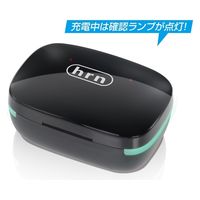 平野商会 BluetoothワイヤレスイヤホンBK HRN-578 1組
