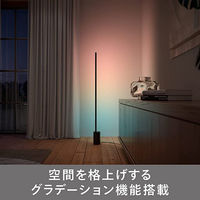 シグニファイ Hue Signe フロアライト PLH25Fl 1個（直送品）